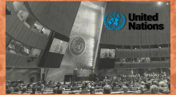 ¿Que es y para que sirve la ONU?